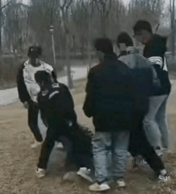 银川一小学生遭9人群殴，未成年不罚家长不道歉，母亲做法太解气

今年3月21日，