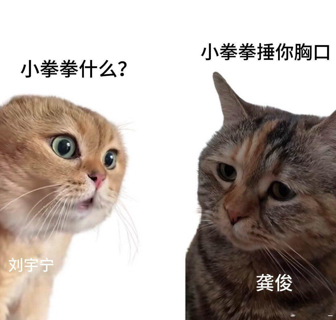 龚俊小拳拳锤刘宇宁胸口 地球超新鲜 龚俊刘宇宁猜词游戏笑点密集到爆炸！“走马观花