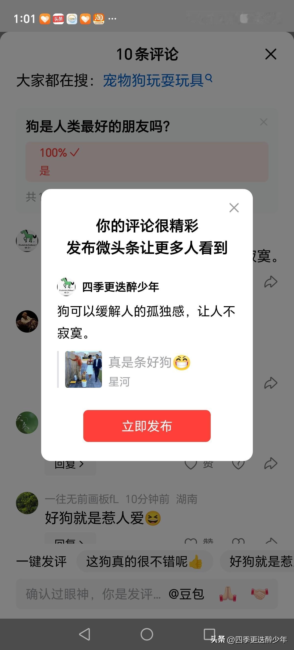 狗可以缓解人的孤独感，让人不寂寞。