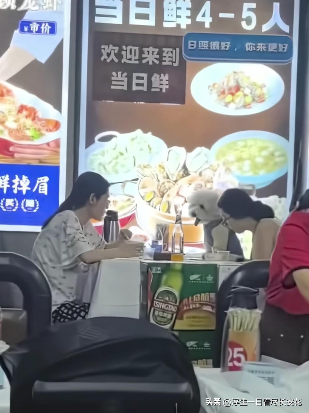 狗上桌，这次轮到山东日照当日鲜海鲜大排档了！狗是光明正大的上桌，和狗主人一桌，期