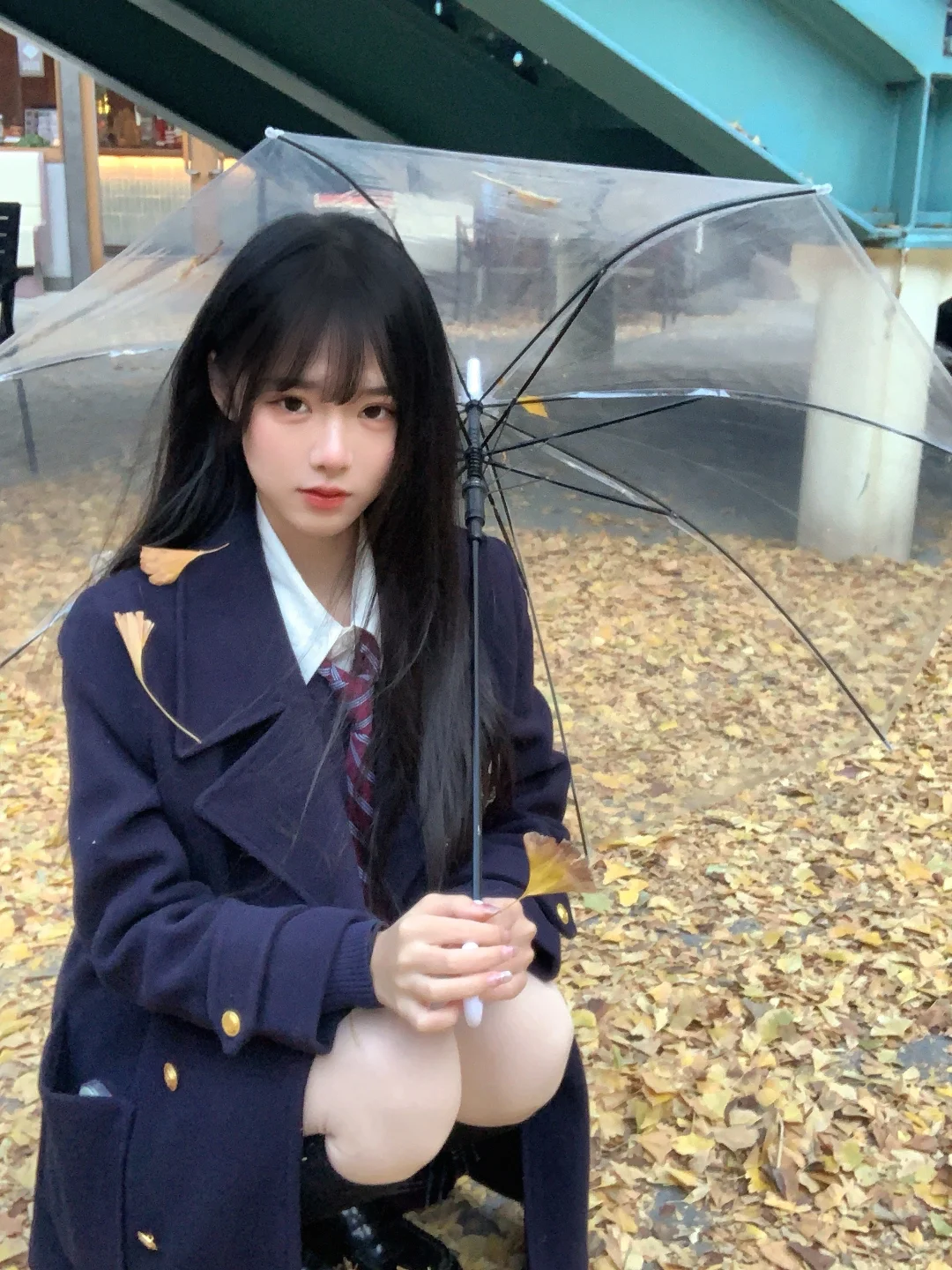 落叶的位置🍂
