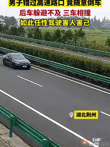 湖北荆州一名男子开车时，因为一时疏忽错过了下高速的路口，谁料他停在原地想了一会，