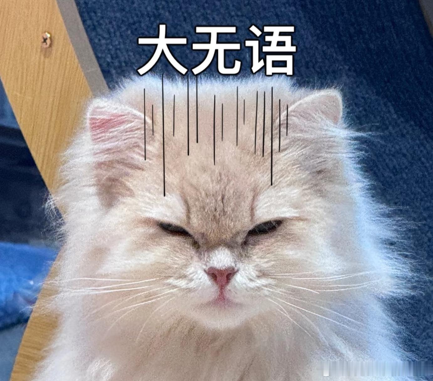 我说别人每天1000万一点事没有，我就前天200万你后面就立马给我限流得死死的，