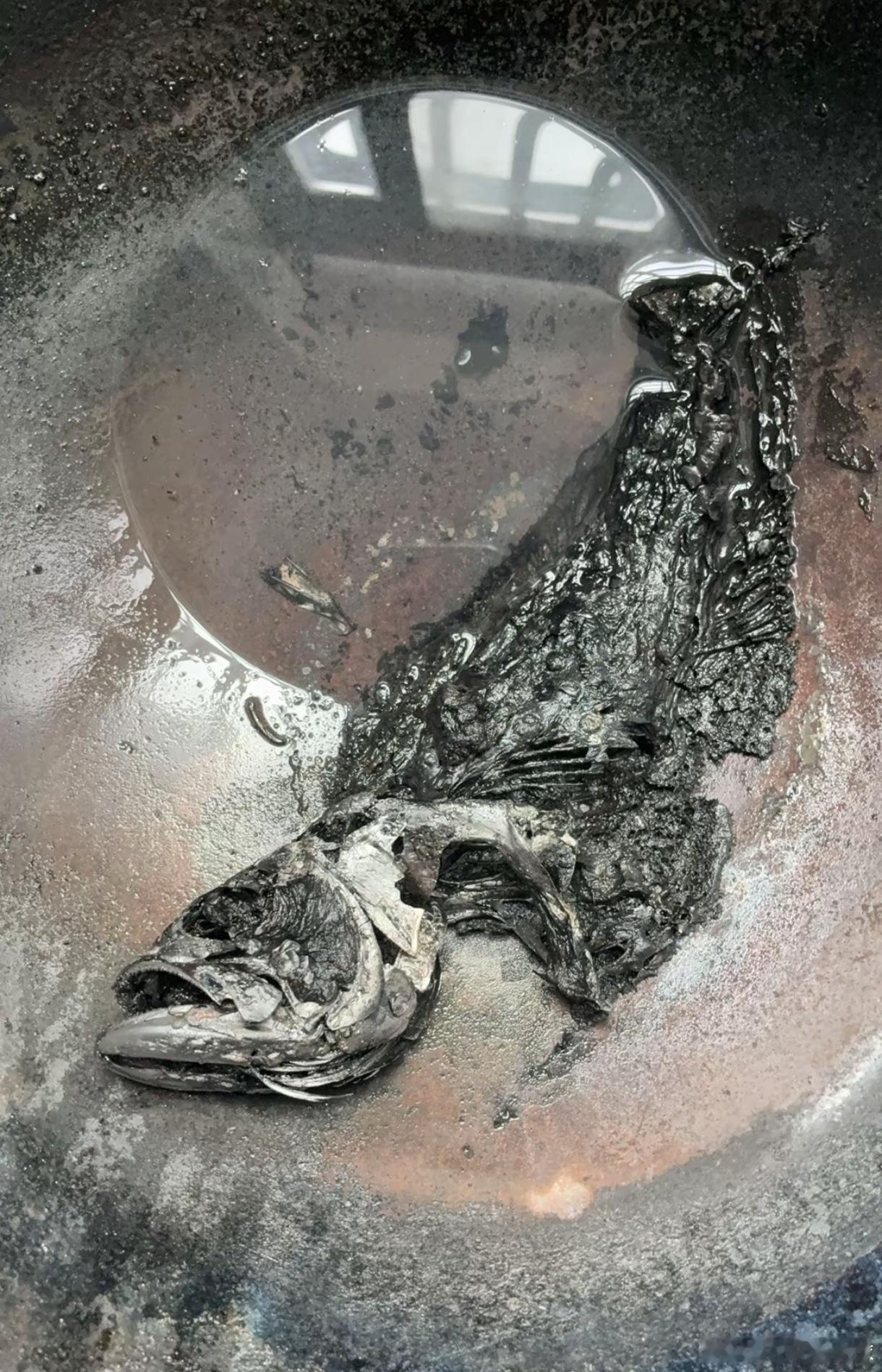 周末限定，本美食博主斥巨资研发的【暗黑美学·纯碳系列】全席，请大家品鉴：🐟 深