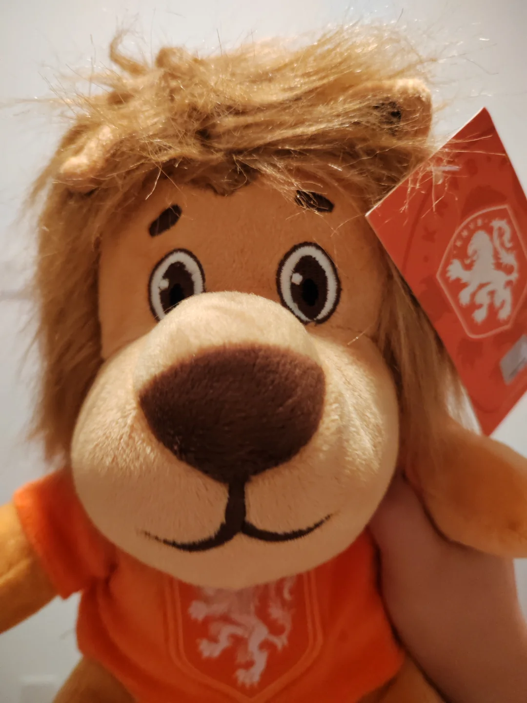 🇳🇱小狮子冲！！！