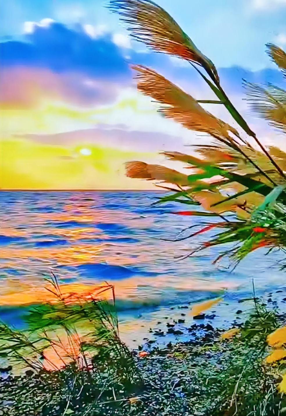 在公交车上该给老人让座吗？
在公交车上给老人让座，不能一概而论。从社会公德和传统