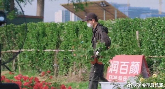 十个勤天刚上班vs上班四年种地吧在后陡门的四季耕耘，让十个勤天快速成长，从莽撞新