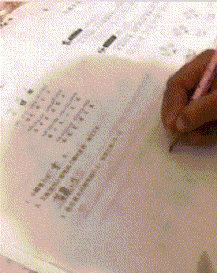 这个鸟字谁教你写的？