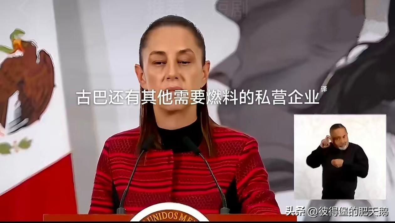 墨西哥总统克劳迪娅·欣鲍姆表示，墨西哥将出于人道主义和商业目的向古巴输送燃料，并