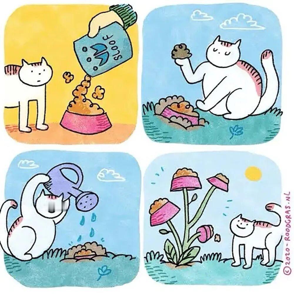 小猫的愿望 ​​​