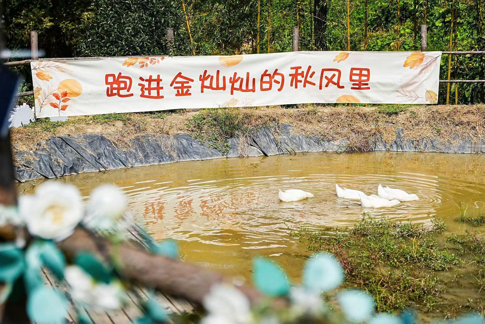 中秋国庆来丽水黄处把童话过成真来黄处，奇趣童话村，过慢悠悠的生活。处处疗愈又可爱