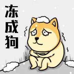 河北、山东、河南的朋友今早出门都冻懵了吗？10 月中旬就被冷空气按头穿厚衣，一出