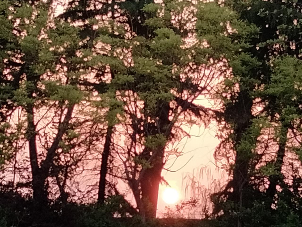 灶膛炉火旺
朝晖旭日升