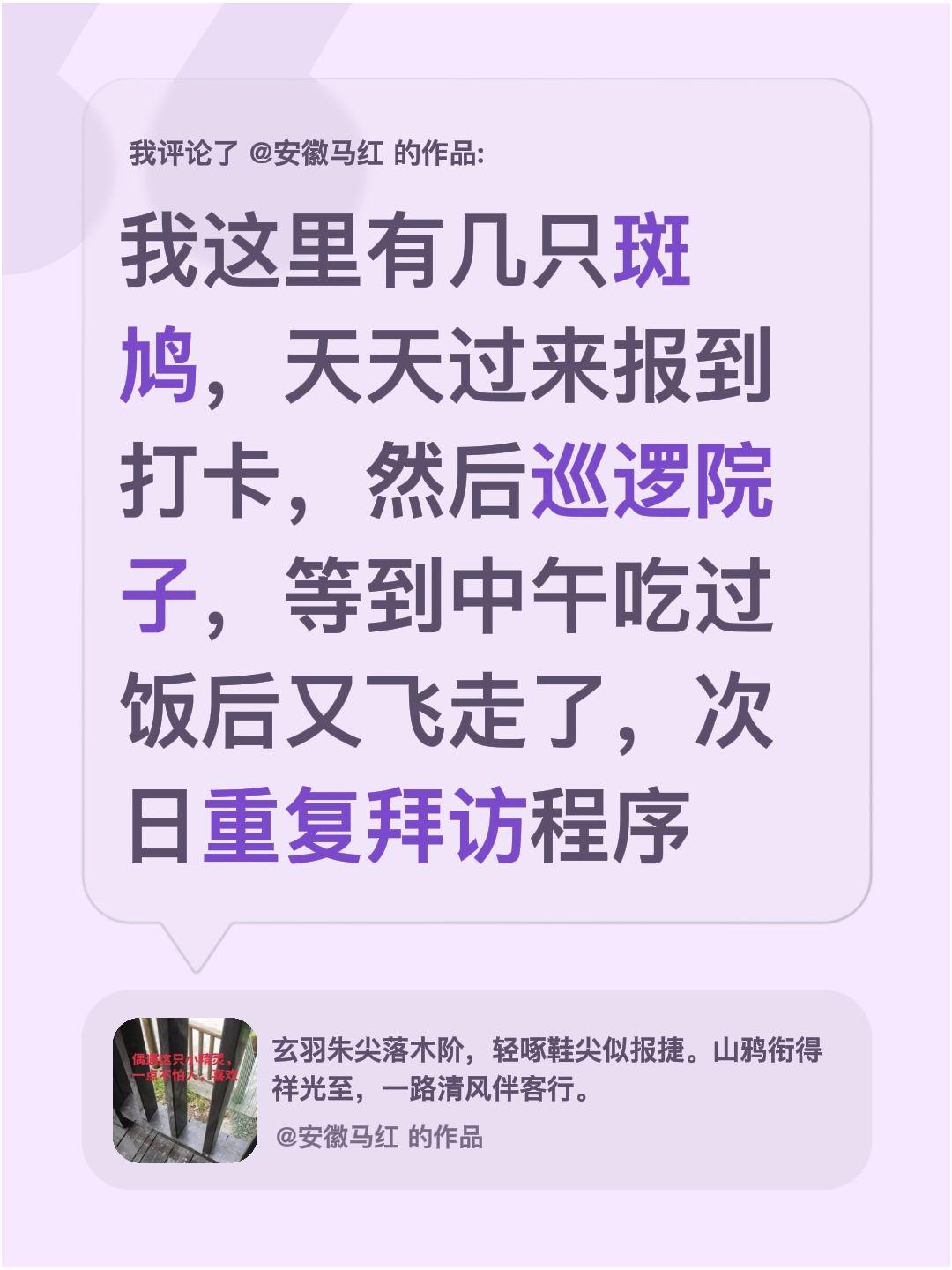 我评论了@安徽马红 的作品：
我这里有几只斑鸠，天天过来报到打卡，然后巡逻院子，