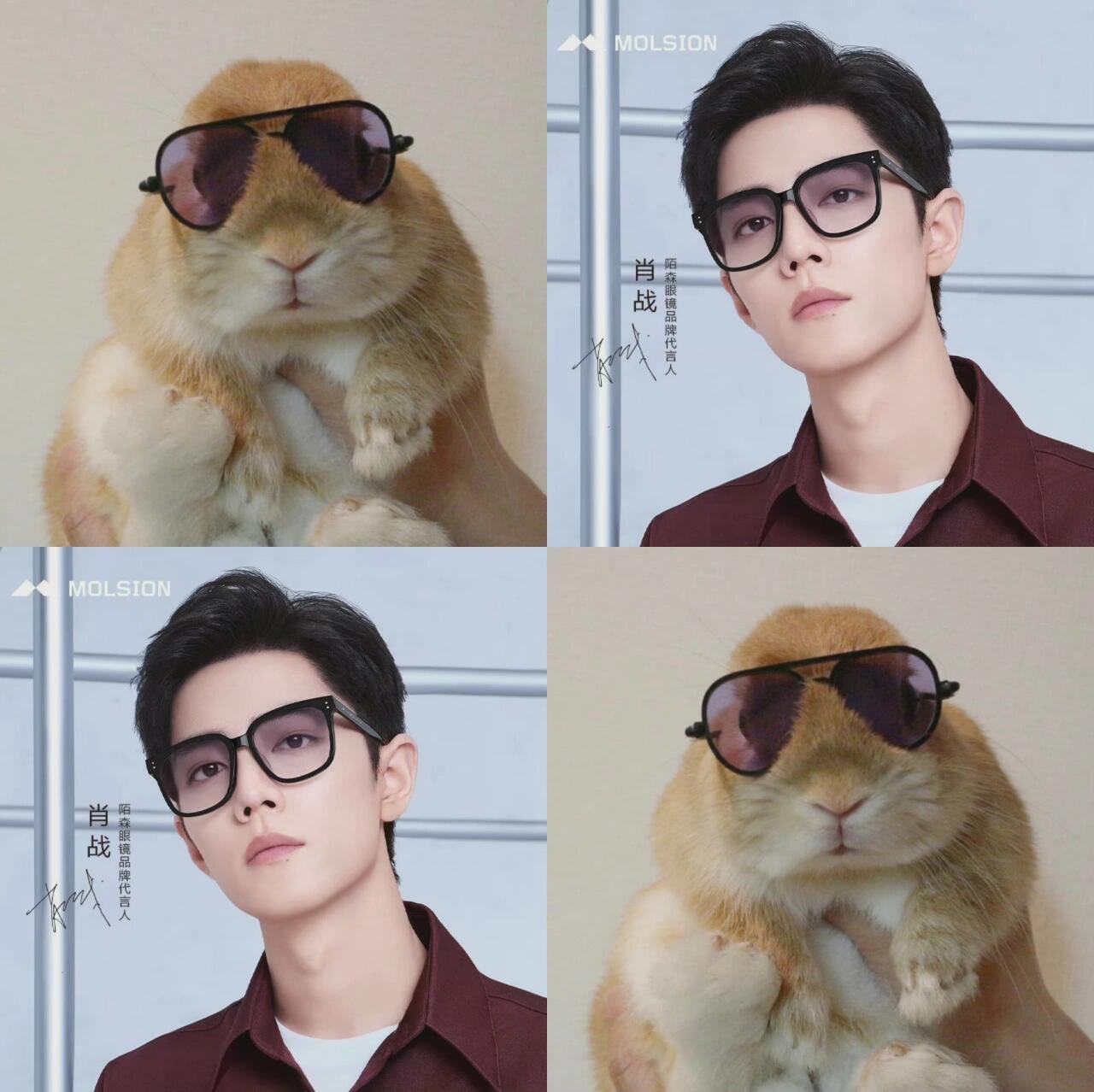 找到了一些肖战是小兔子的证据