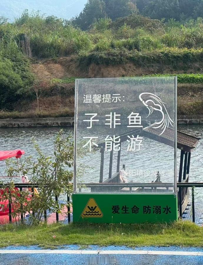罗非鱼，可以游
