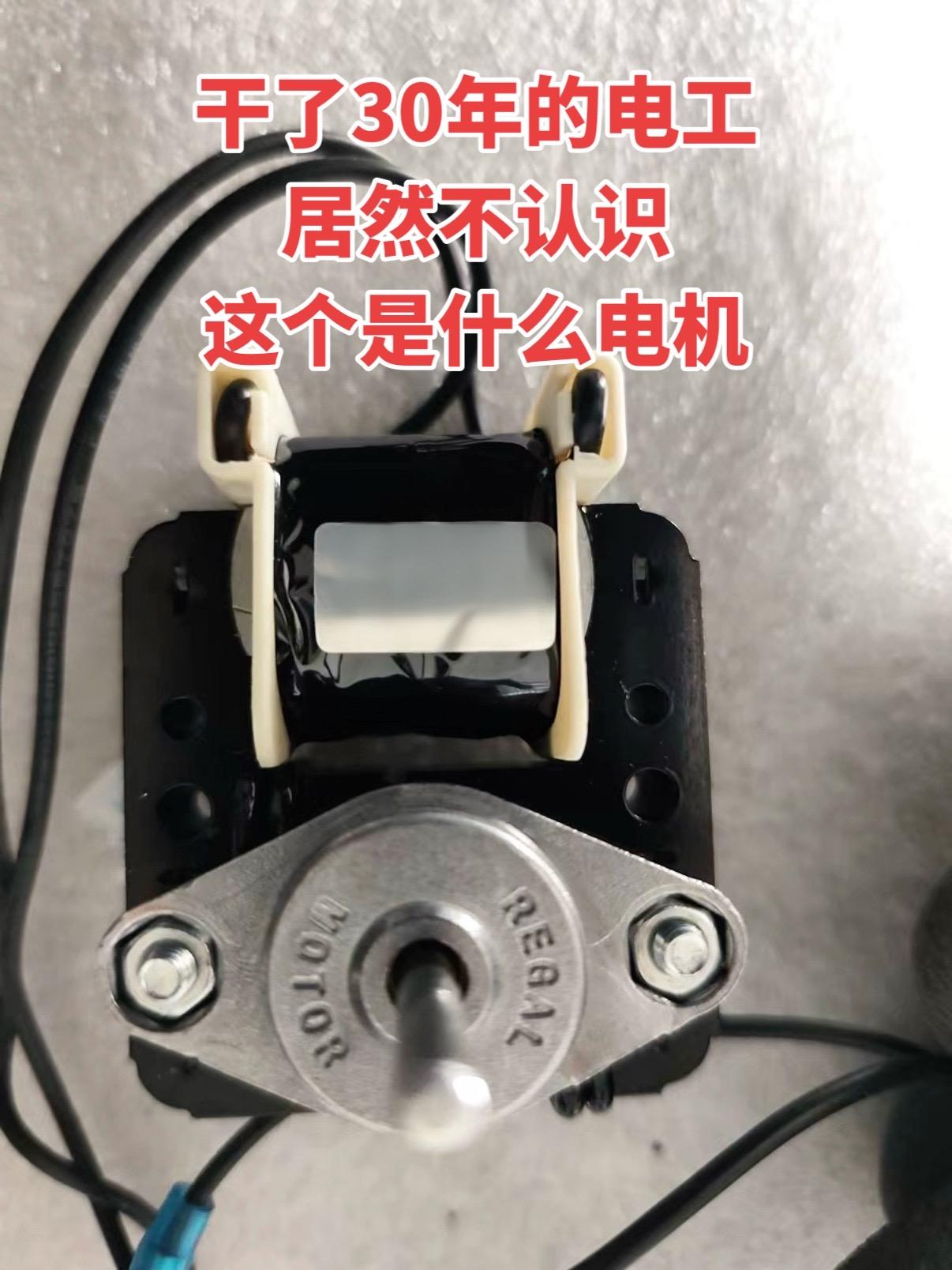 干了30年的电工，居然不认识这个是什么电机
