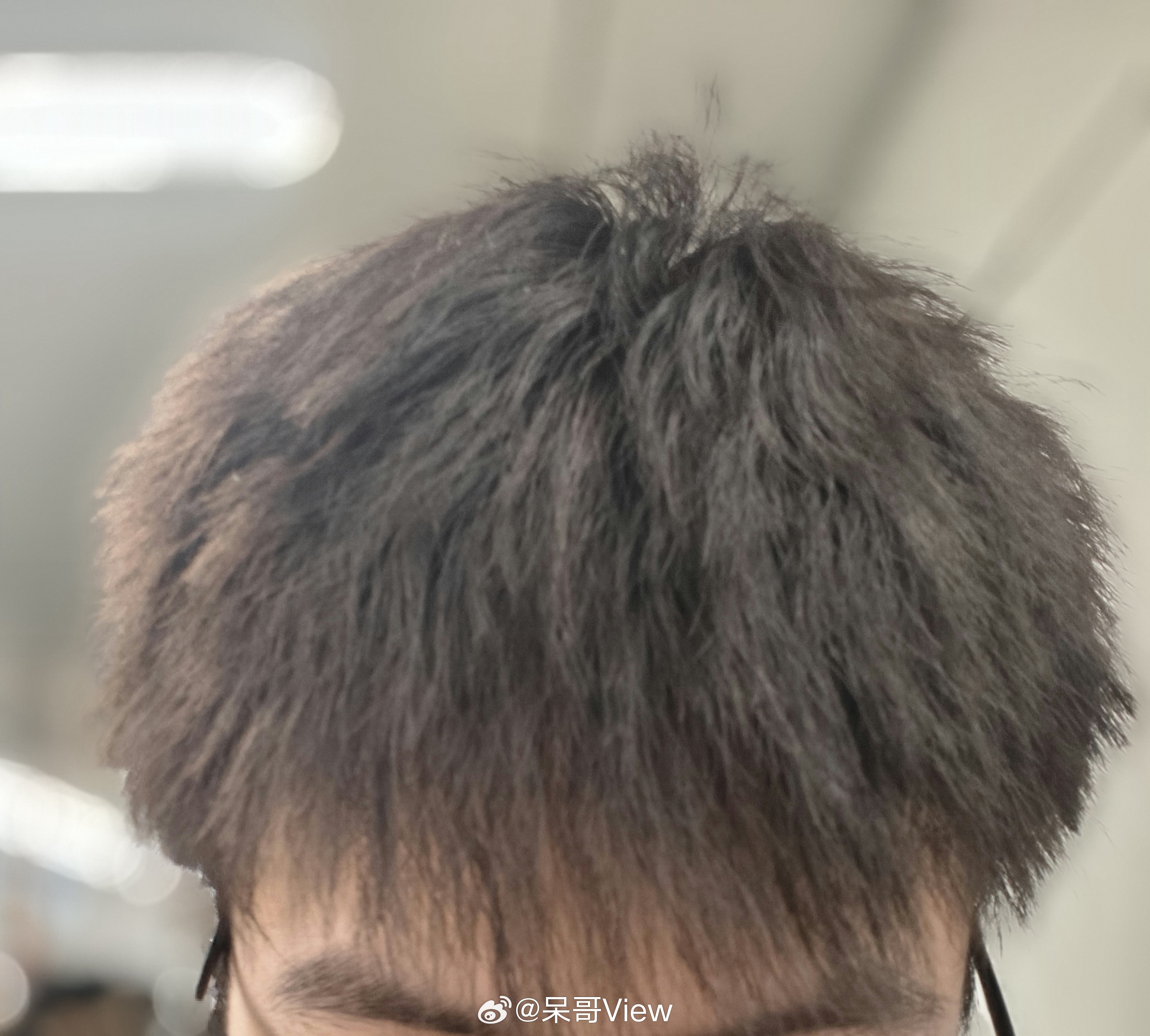 二月二龙抬头有啥习俗山东人终于可以剪头了从年前剪完后一直攒到现在，快成野人了。 