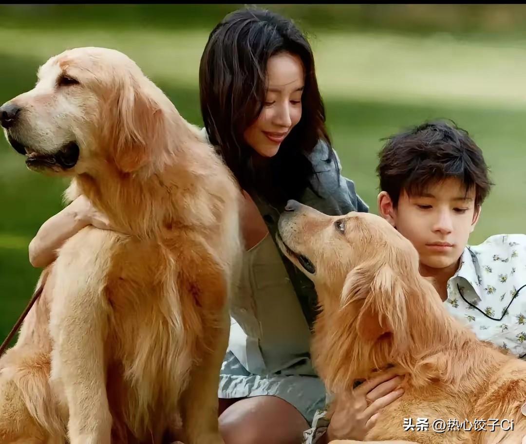 董洁说儿子，我非常的崩溃，小的时候那么乖，到今天他开始有自我意识在跟我去抗争。我