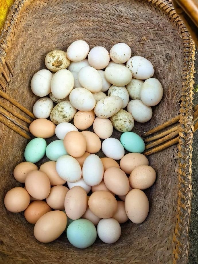 所以技术上19000是重要支撑位（大概9-10点），在这里可以上半仓了，剩下的做