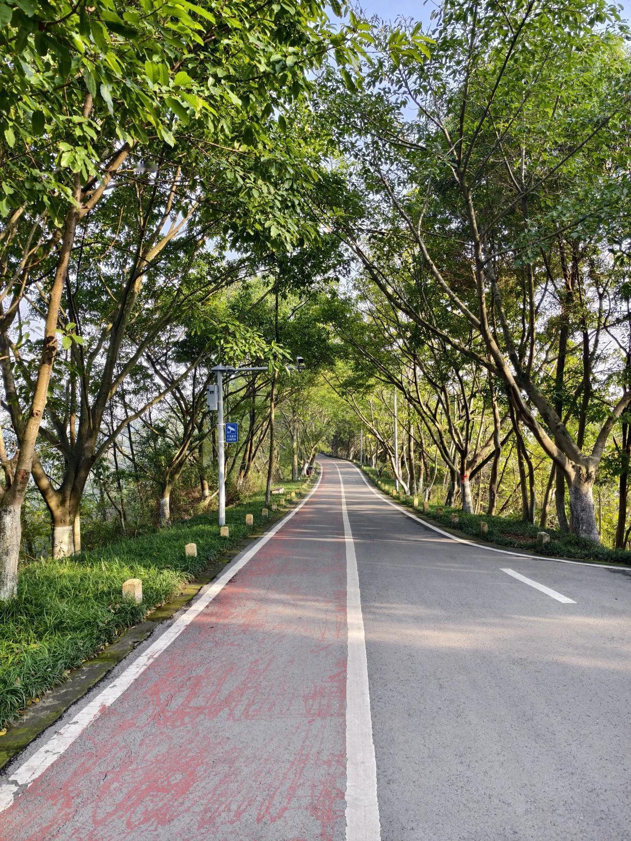 南山脊梁
       ——南木子
借个冬阳登南山，
风光旖旎美双眼。
人在脊梁