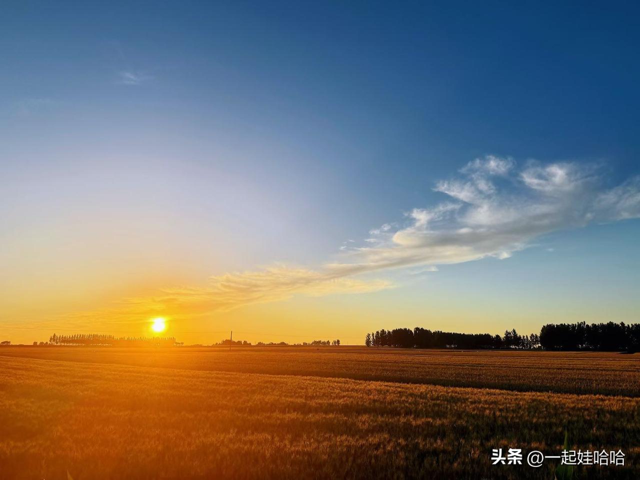 不必总盯着生活的缺口，多看看拥有的美好。把心放宽，把事看淡，在寻常日子里保持热爱