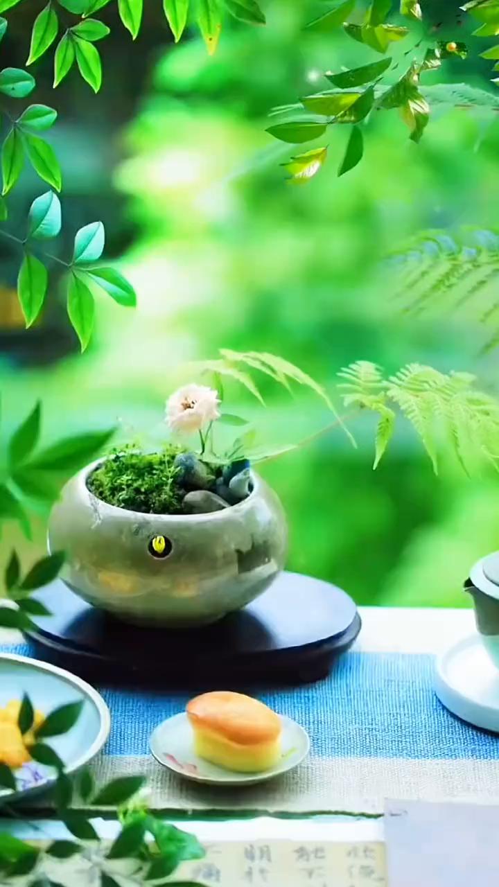人生世事皆无常，世事轮回太无常。昨日风光阔排场，酒桌唯捧人人敬。人前风光把名扬，