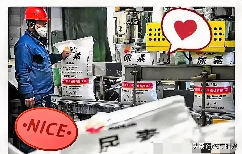 霍尔木兹海峡那边还没消停，谁能想到，咱们西北新疆、宁夏和内蒙的尿素厂却忙得脚不沾