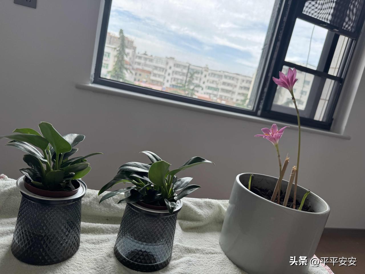 性格决定处事方式、待人态度和选择判断，乐观豁达的人遇事懂得变通，容易抓住机遇；内
