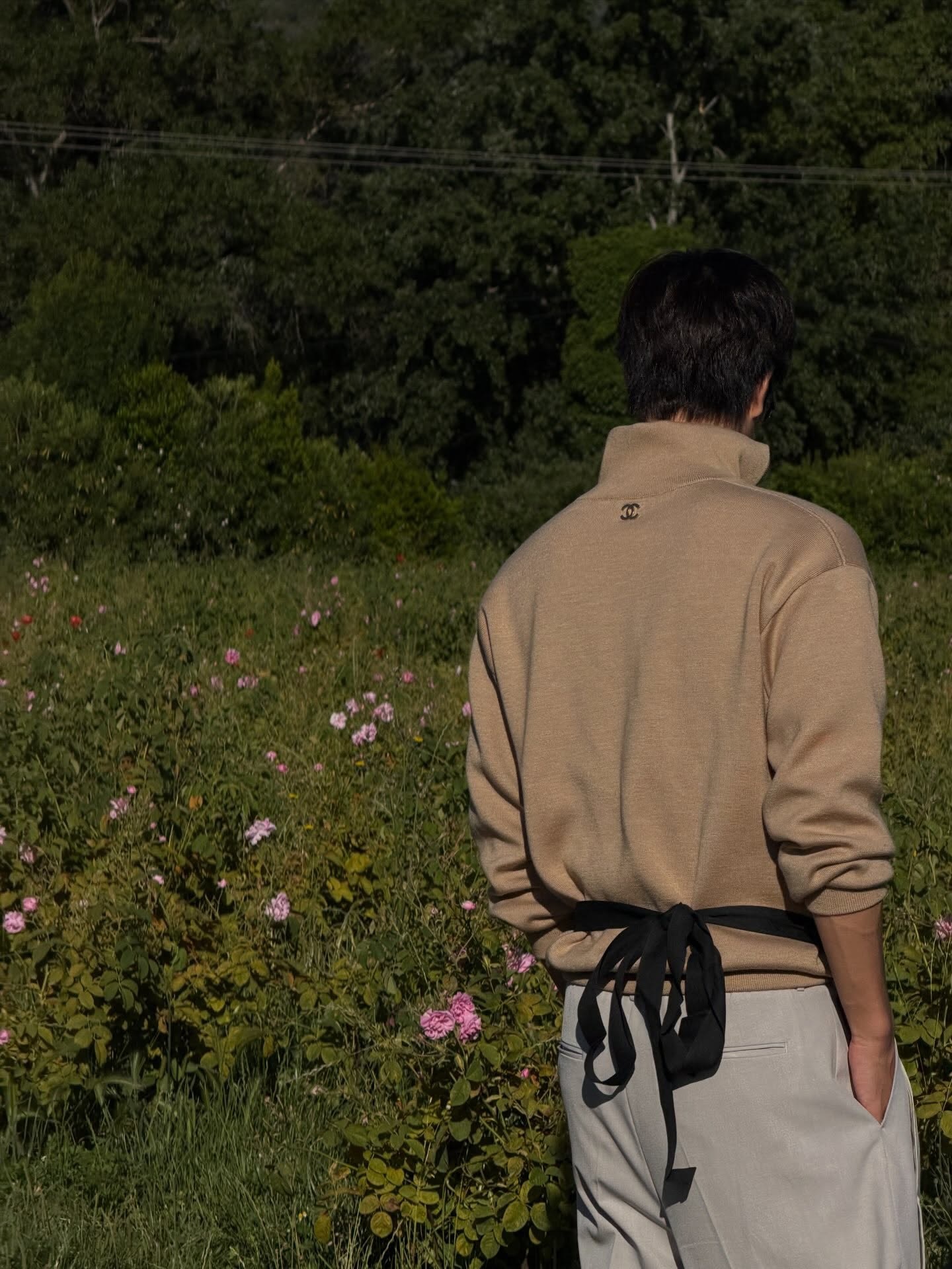 Lost in the fields of Grasse 🧑🏽🌾💐Gem