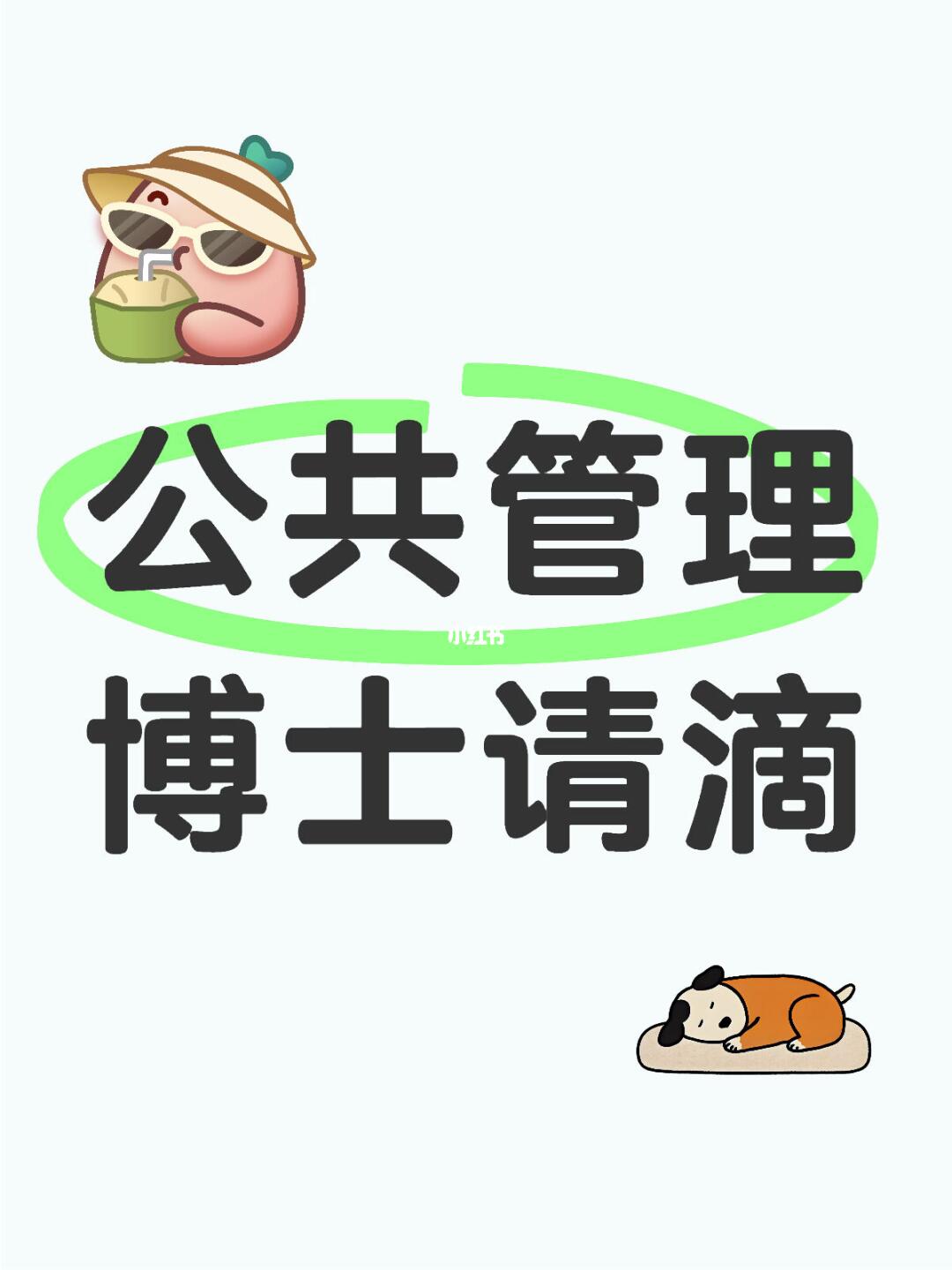 需要公共管理博士