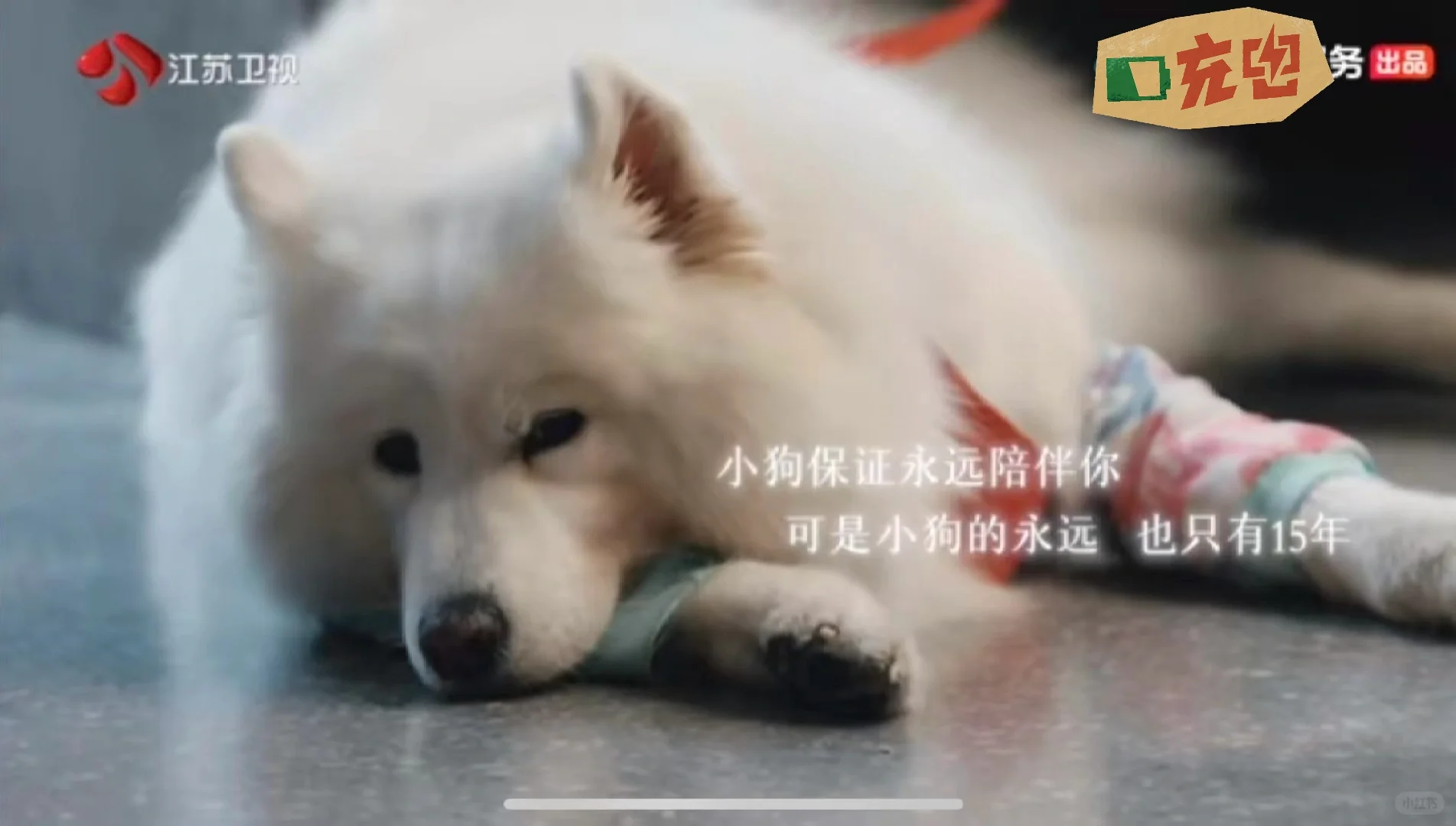 当忍不住哭了之后，别人夸我很会演
