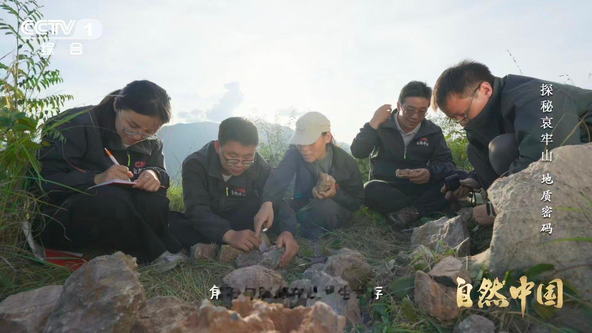 哀牢山顶惊现海底世界哀牢山顶竟藏3.75亿年前珊瑚化石 在哀牢山海拔2000多米