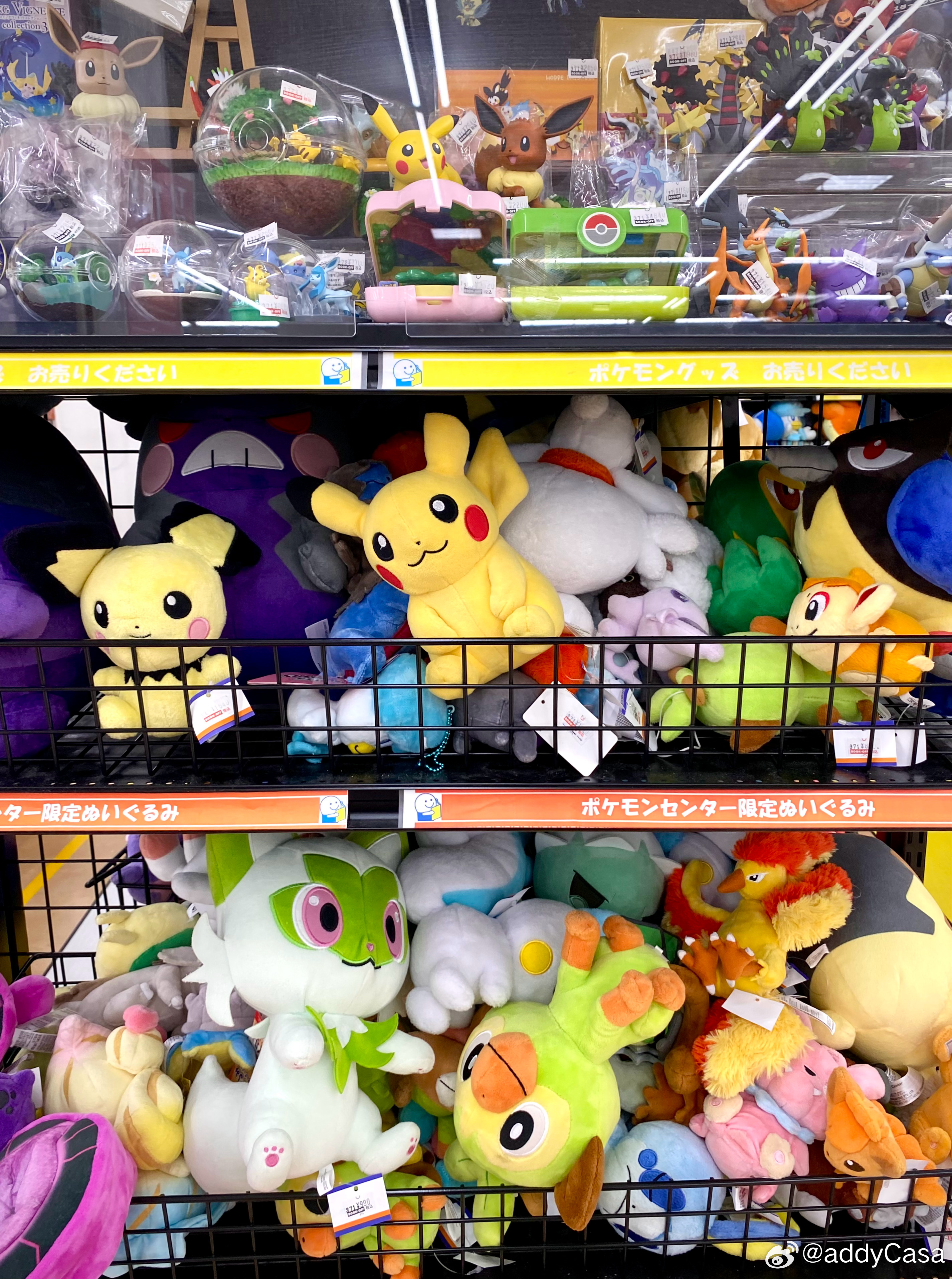 在東戶塚的BOOK•OFF里的Pokémon感覺像無料的！隨便你瘋狂亂拿⋯⋯⋯⋯