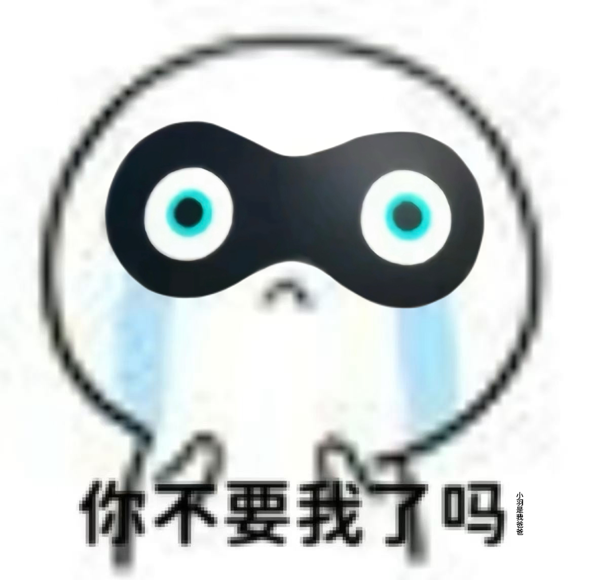 分享图片 