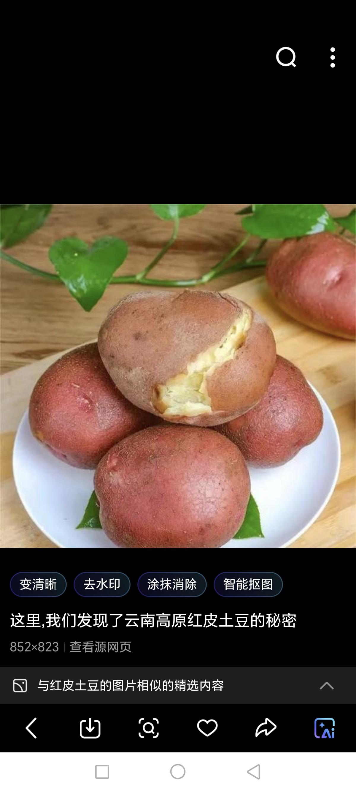 这种根茎蔬菜能够降血糖，你知道吗？

在国内，我们在菜市场或者超市里也经常看到有