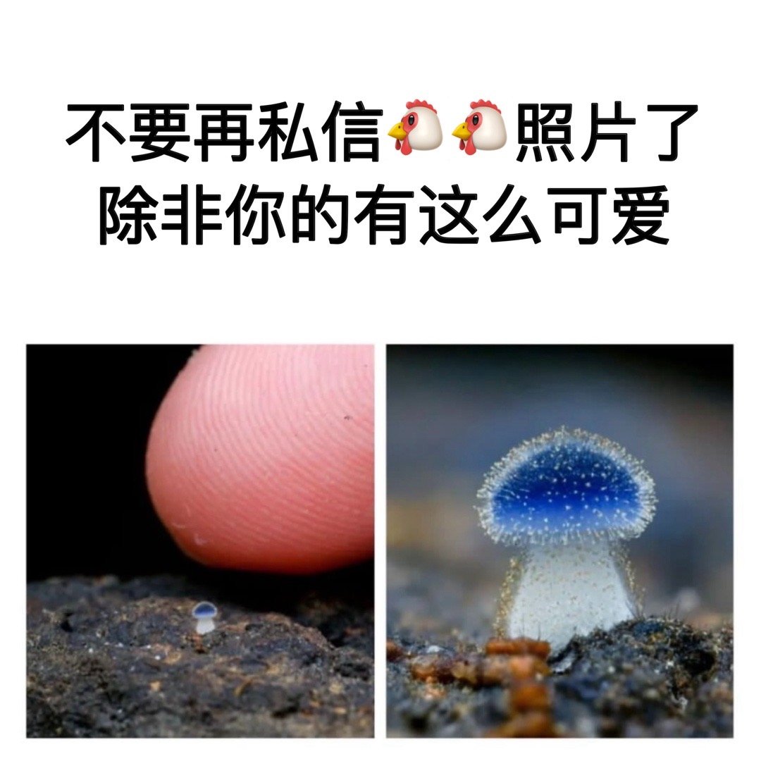 不可爱免谈#meme# ​​​