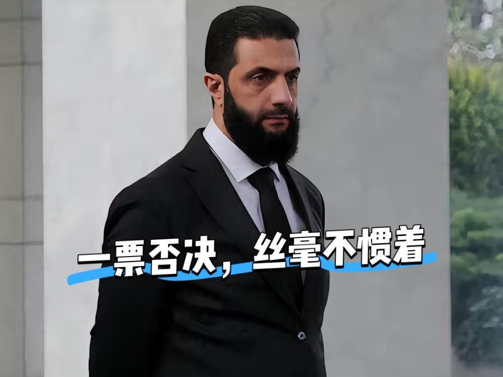 中国一票否决，根本不惯着朱拉尼团伙。即使俄罗斯赞同也不行。
 
联合国安理会那项