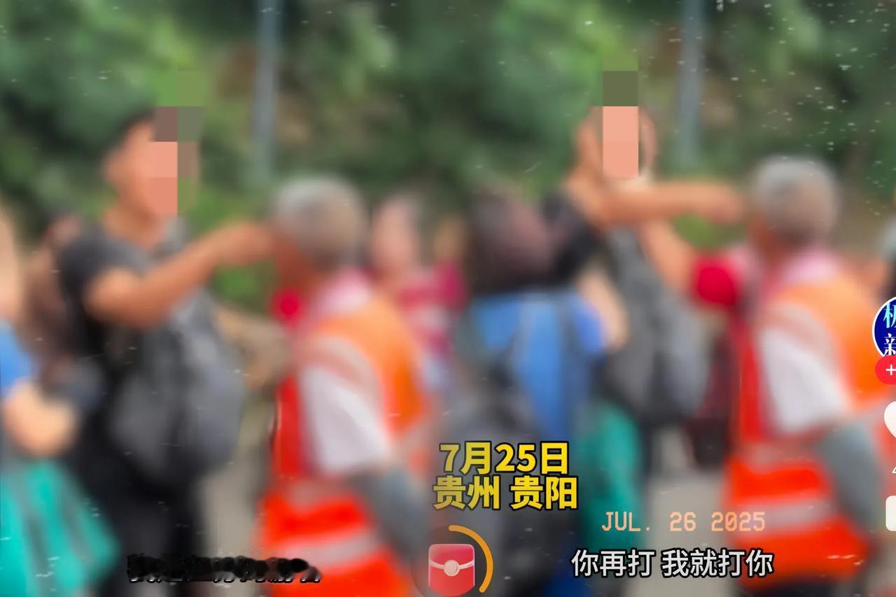 这位年轻力壮的江苏游客反复强调是江苏南京的，如果这位老人工作者再打猴子，他就打老