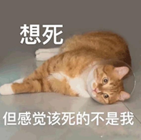 几年一次的脐炎又发作了，跑去医院看了一下，医生说目前还不严重，先消炎观察。我还是