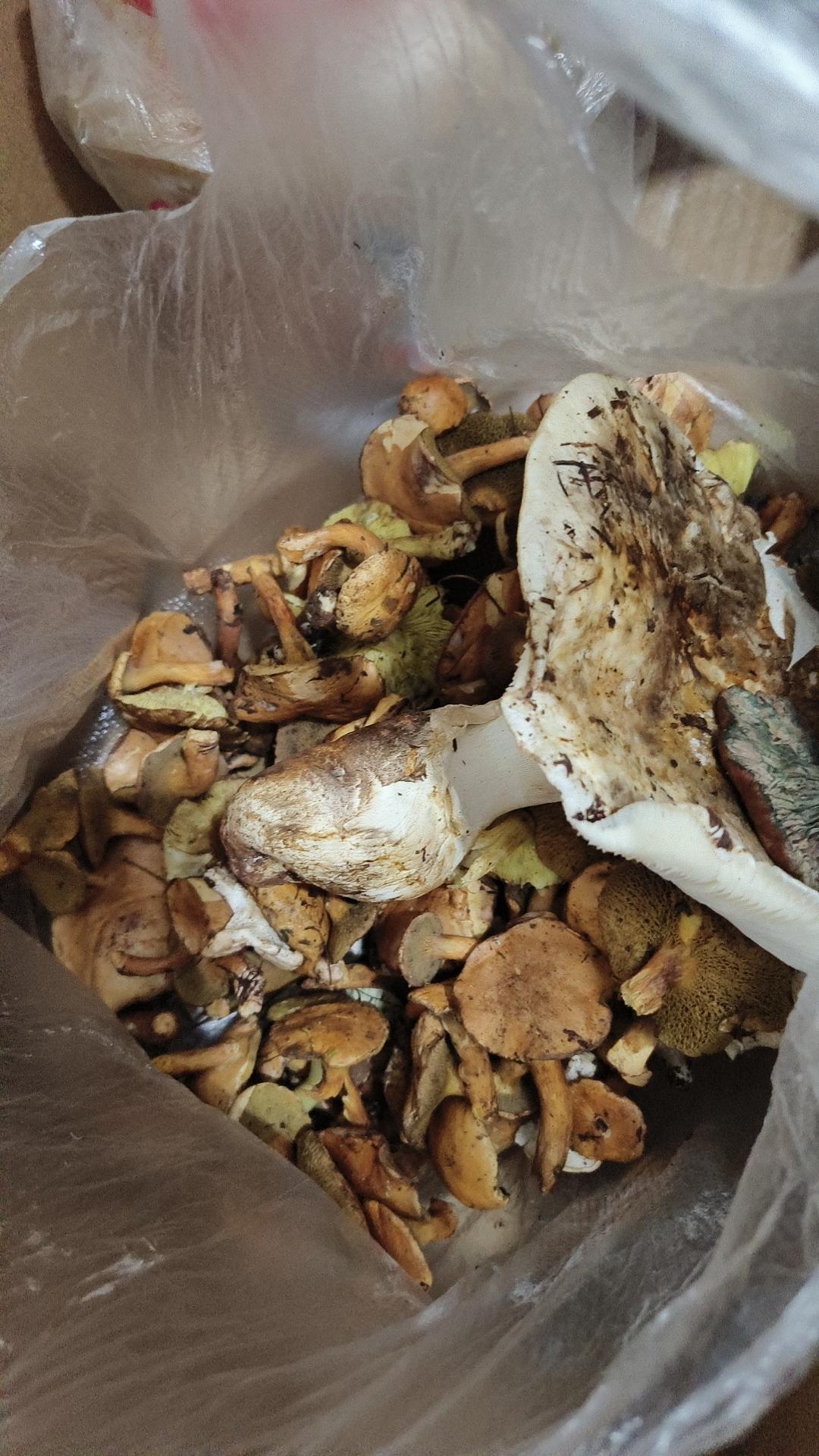 没想到我那固执的老爹会这么开明。
小妹要结婚了，我问他小妹的彩礼打算要多少，是不