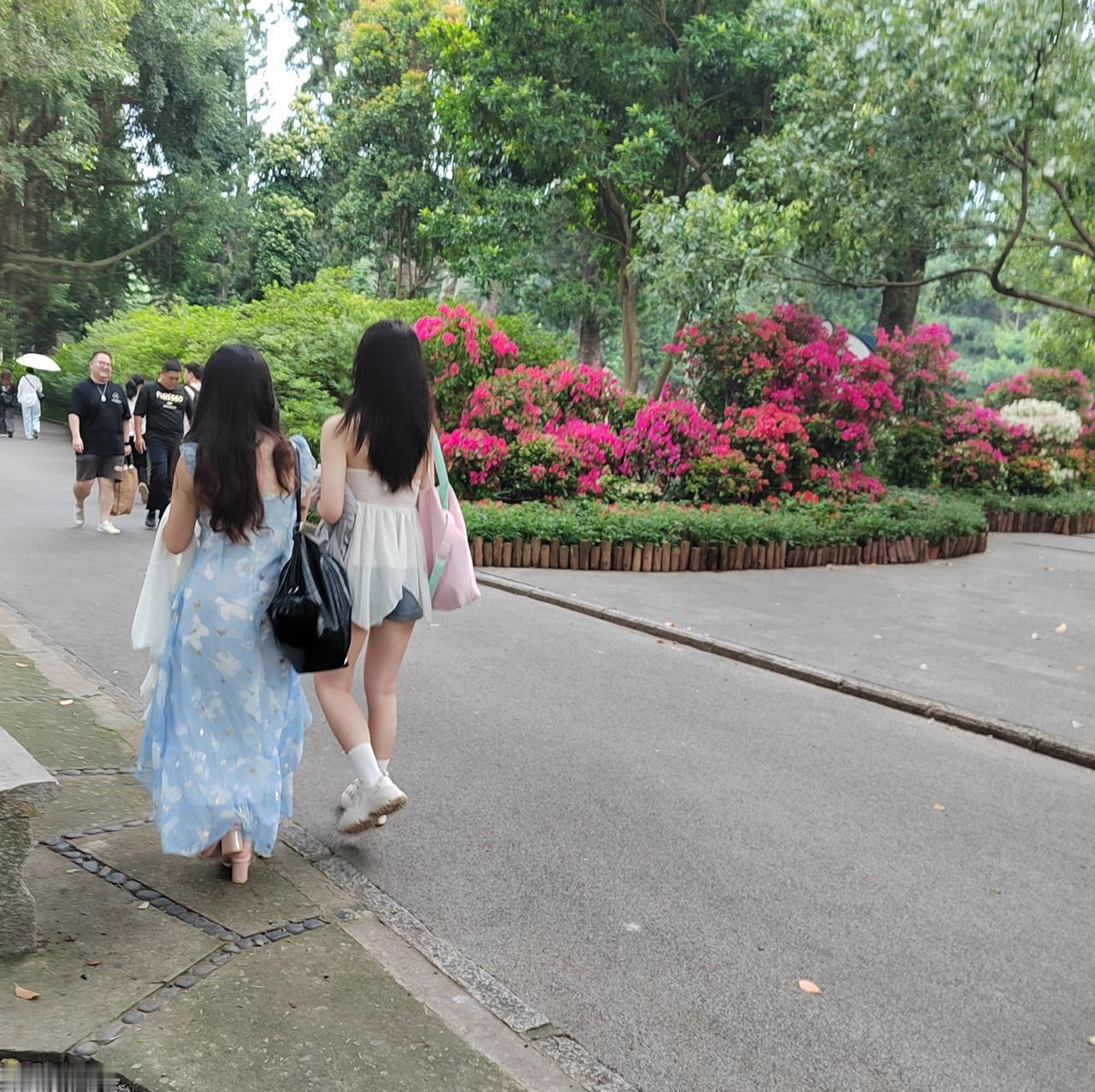 从前看人，只论对错。
这个人自私自利，那个人愚不可及；这个人虚情假意，那个人格调