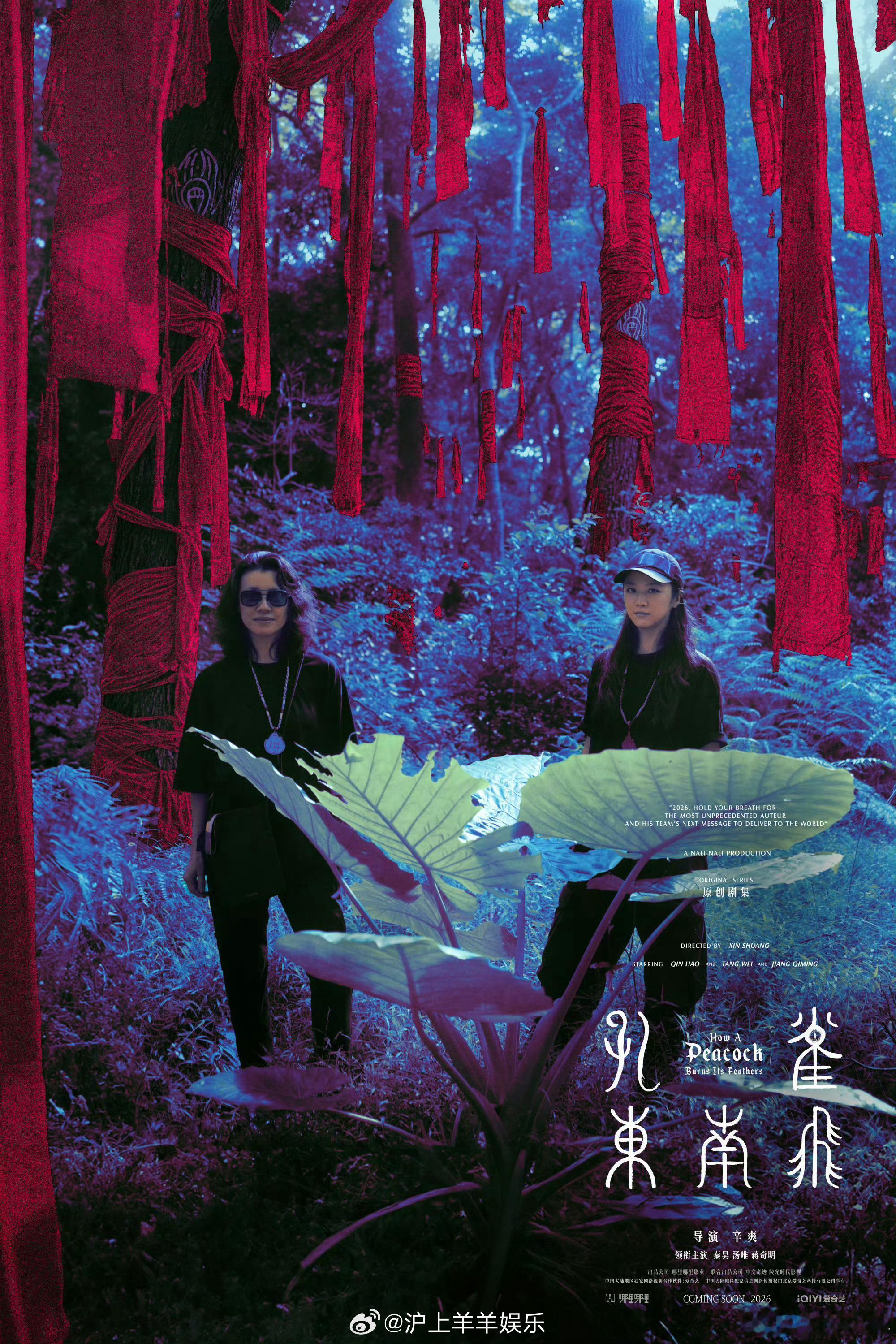 秦昊汤唯领衔主演孔雀东南飞有点震惊汤唯2番？ 