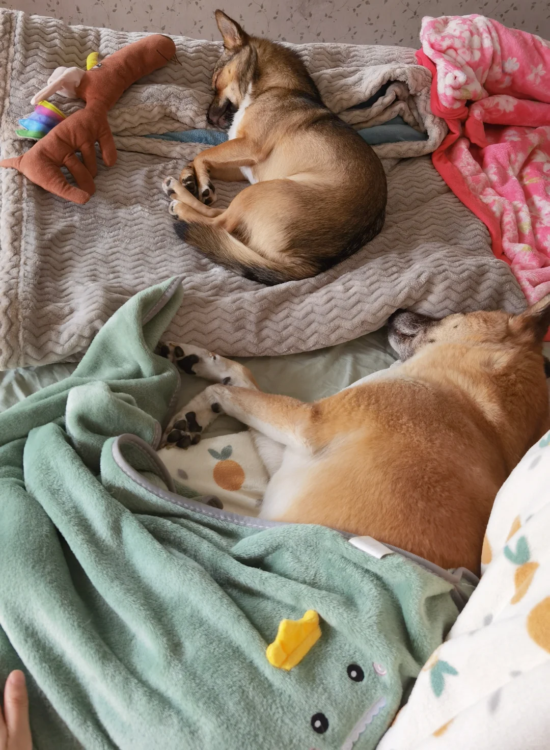 挂了盐水吃了胃溃疡+肺炎的药