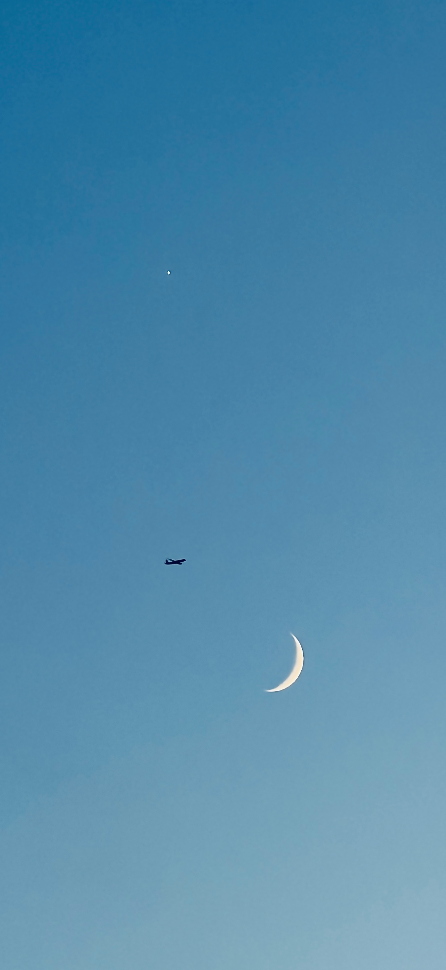 一抬头，金星伴月 