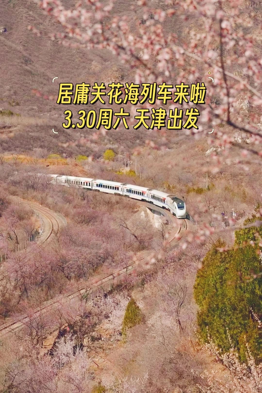 看桃花好去处最美花海列车徒步登长城