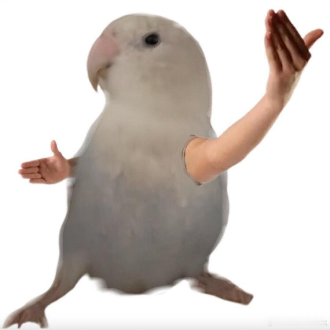 三代人都能逛的漫展出现了杭州国漫节把情怀与新潮结合得恰到好处，复古连环画安放长辈