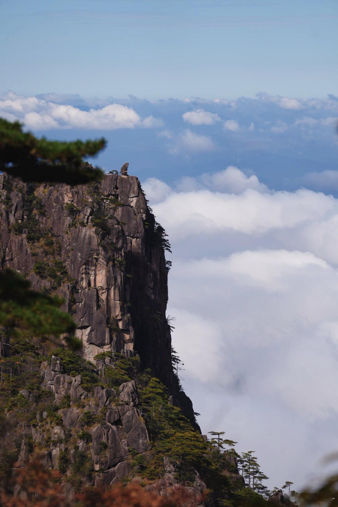这次爬黄山遇到了好几拨儿杭州放秋假的小朋友，年级与闺女相仿，刚才还跟她说起，闺女