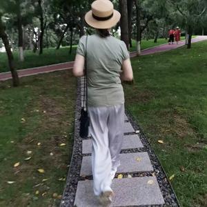 橙子桔子分不清