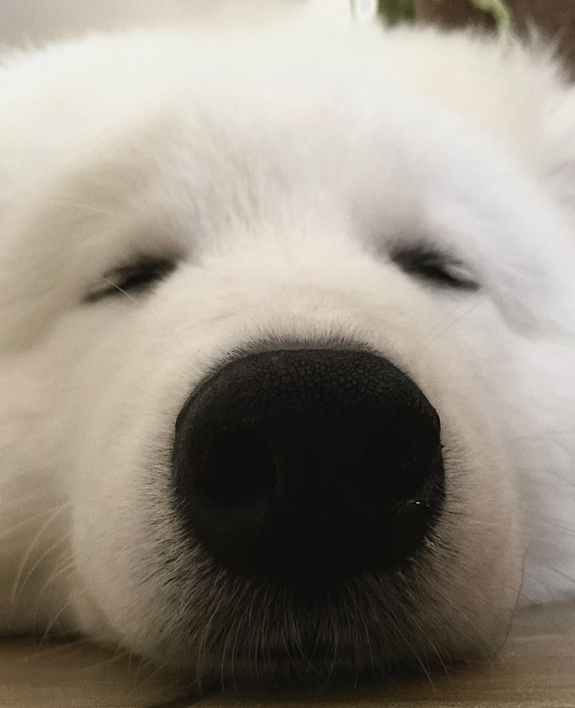 晚安耶 